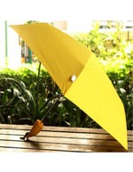 Cartoon Banana Umbrella Seventy Percent ...