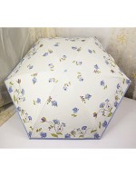 Hand Painted Floral Sunny And Rainy Umbr...